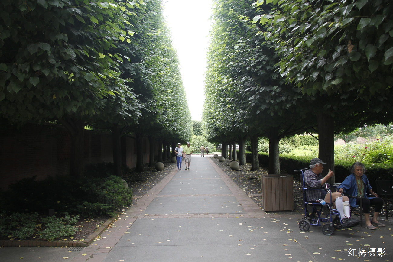 _MG_0870.JPG