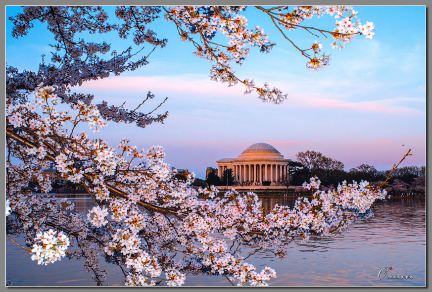 �ܸ�ѷ������