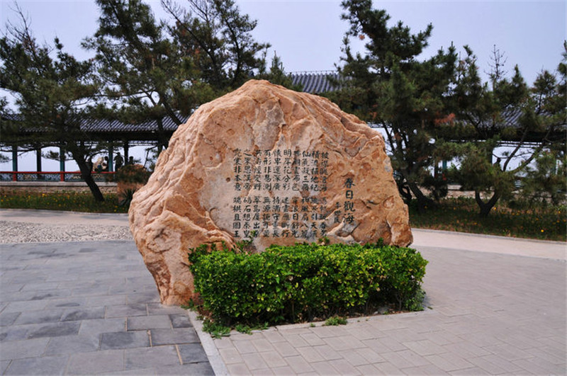 46.jpg