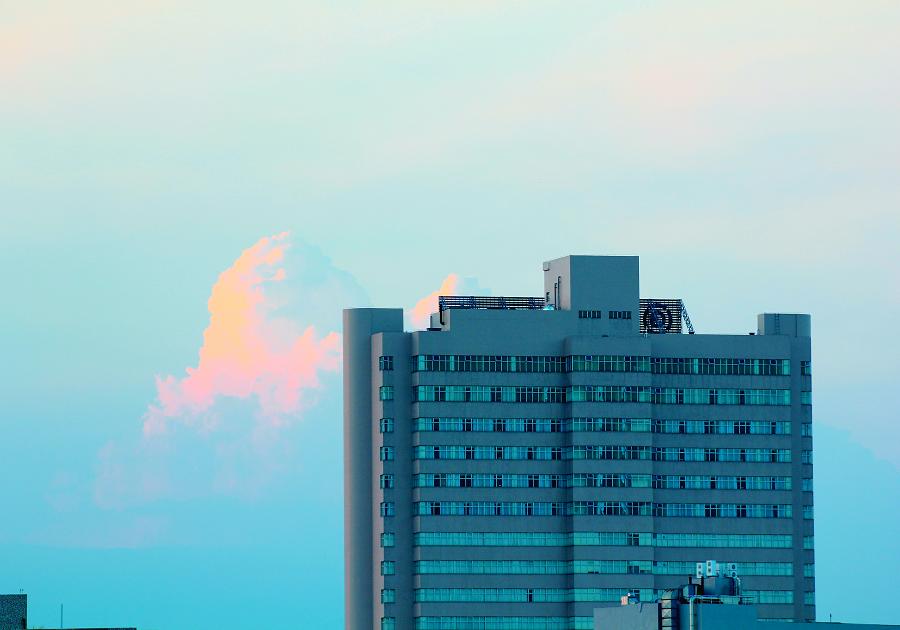 IMG_8716.JPG