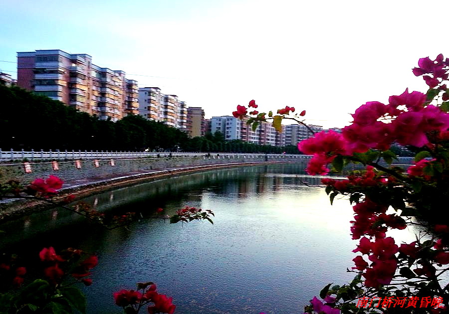 20140825_185941.jpg