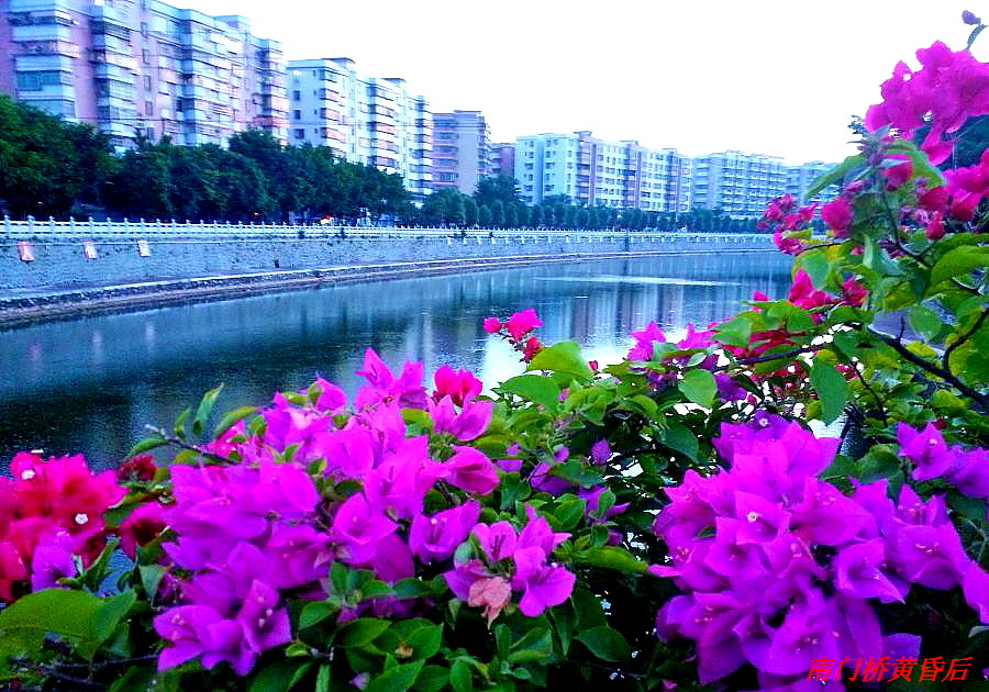 20140825_185830.jpg