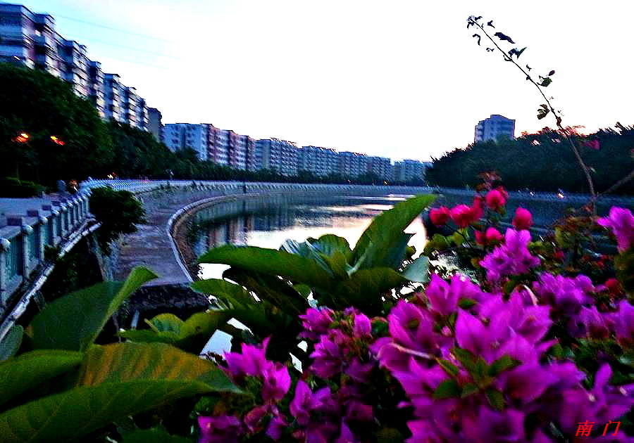 20140825_190109.jpg