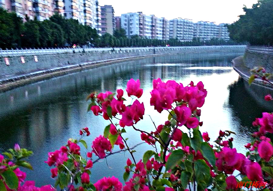 20140825_185900.jpg