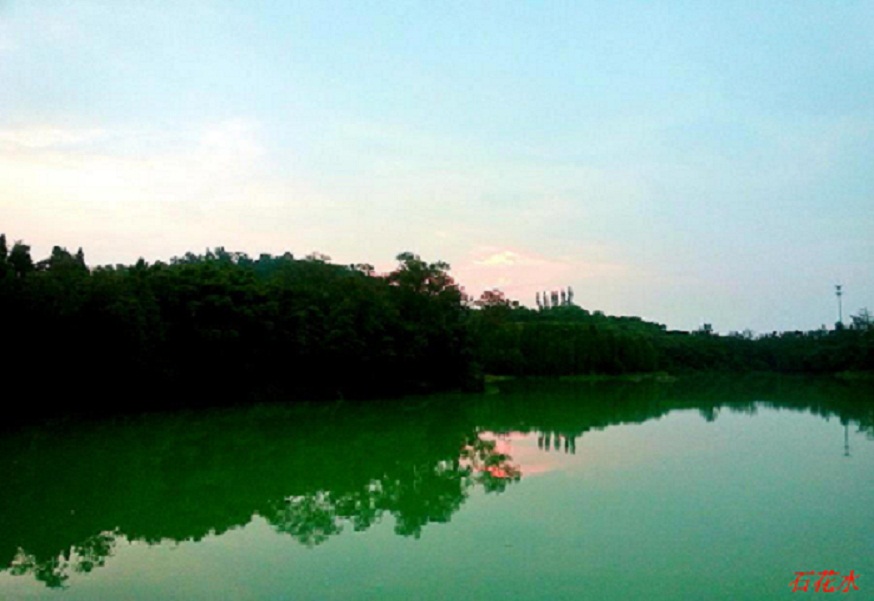 20140802_190205.jpg
