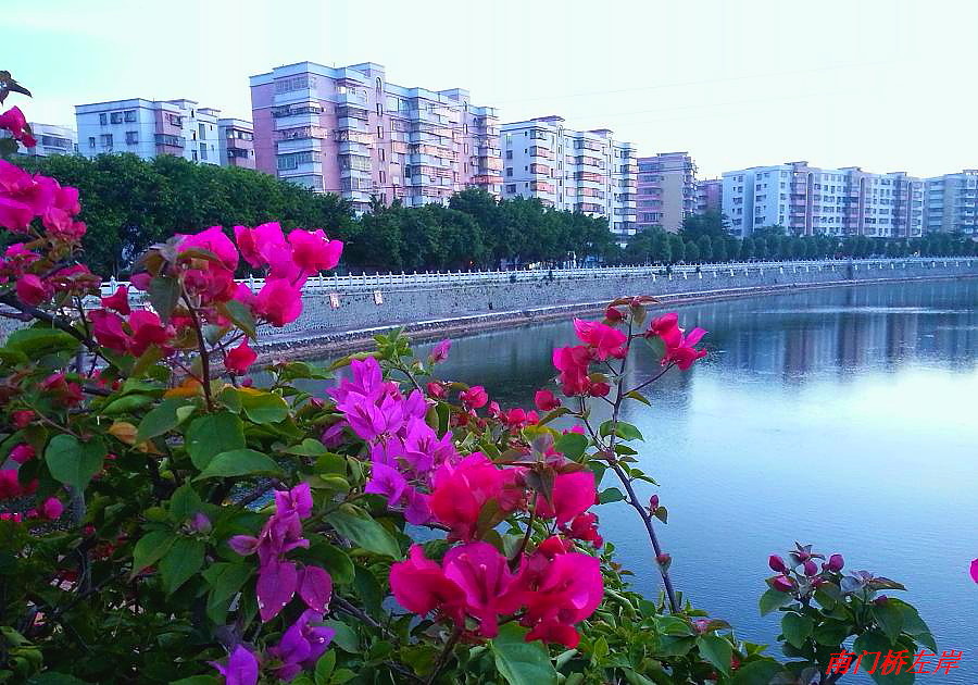20140825_185842.jpg