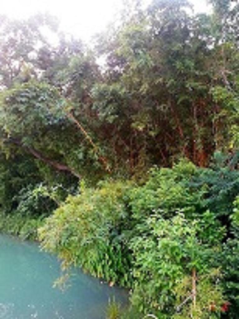 20140731_185714.jpg