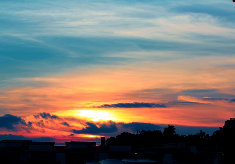 IMG_8713.JPG