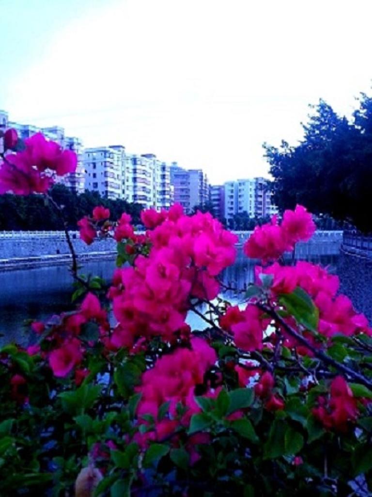 20140825_185758.jpg