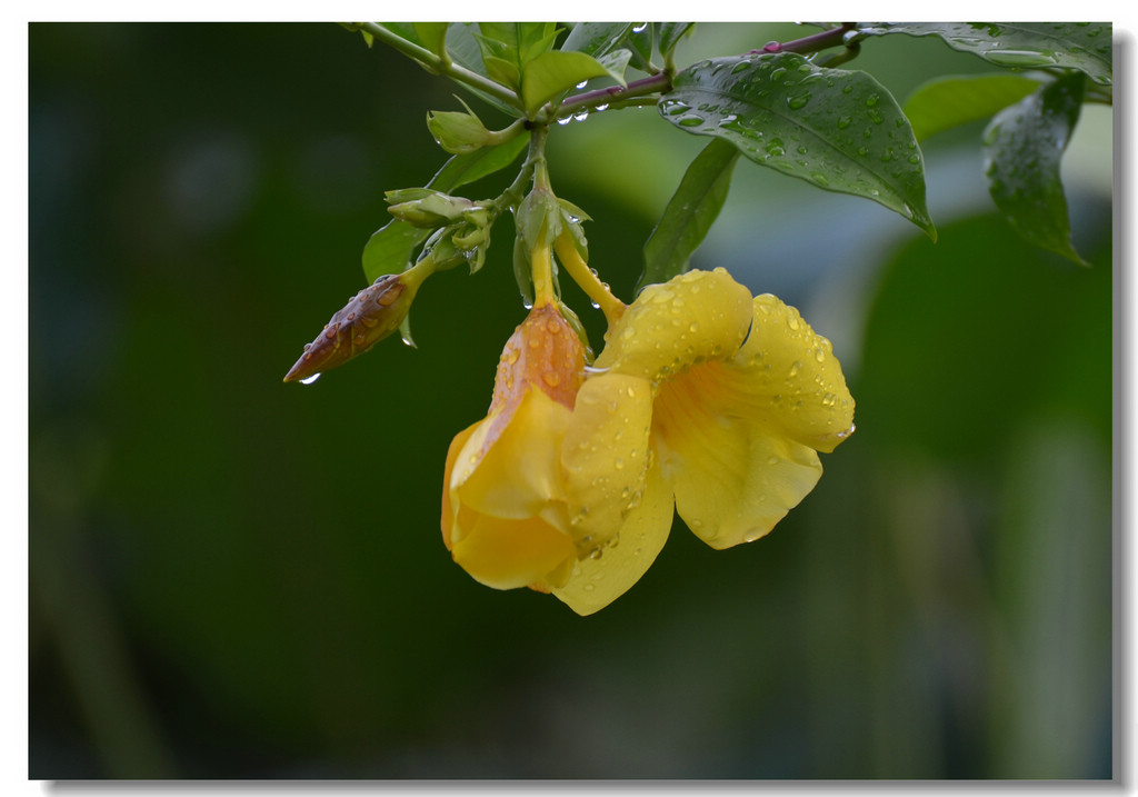 DSC_8483.jpg