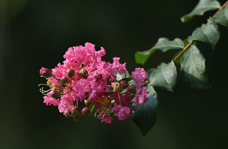 345A0498.JPG