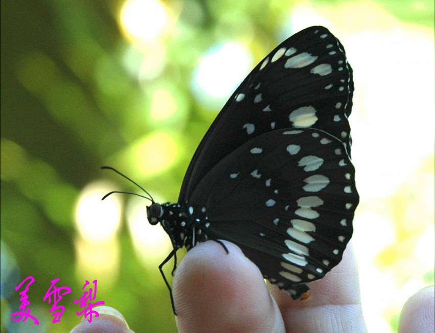 60_6229_ec54c5d4184f7aa.jpg