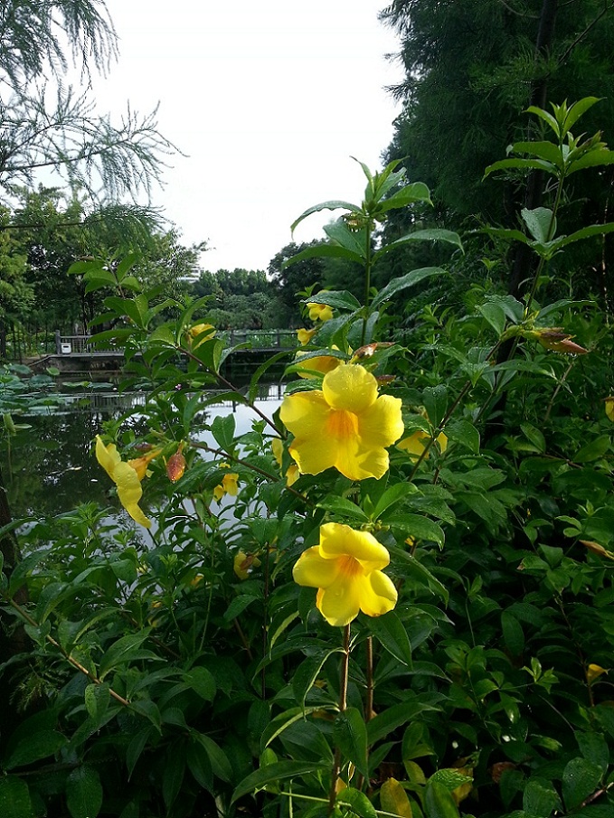 20140727_071041.jpg