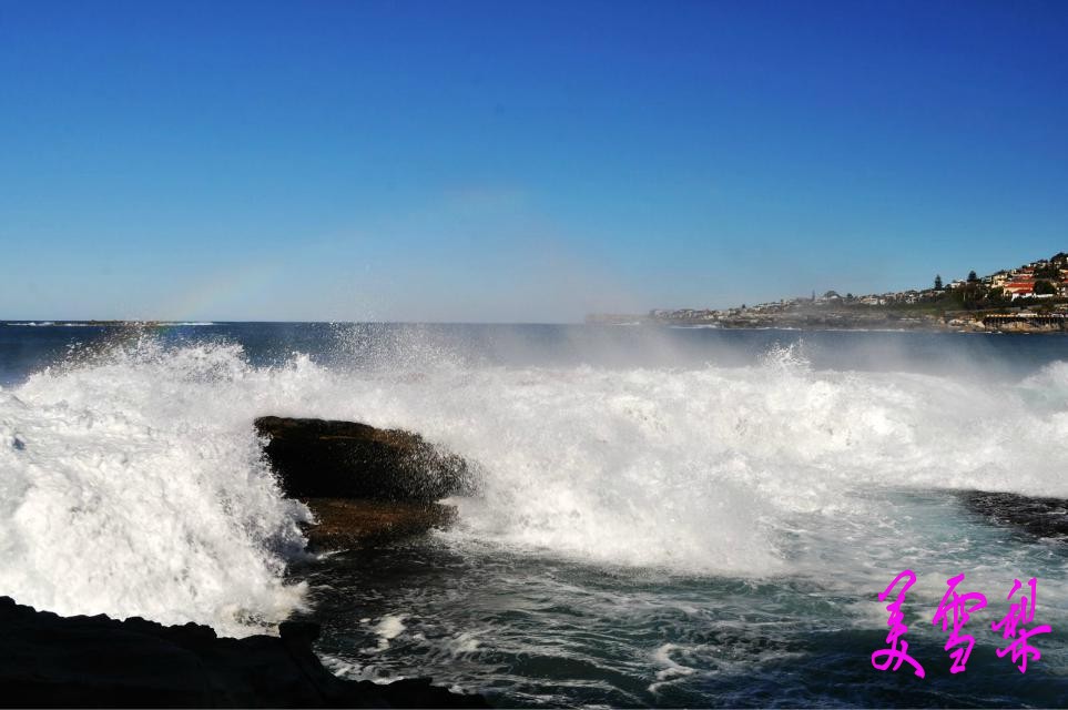 DSC_1969_conew1.jpg