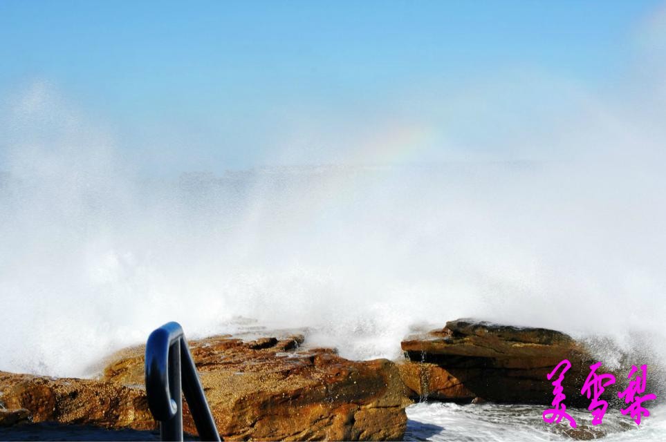 DSC_1971_conew1.jpg