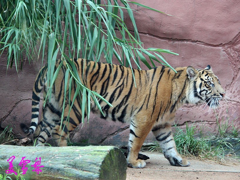 19IMG_1282_conew1.jpg