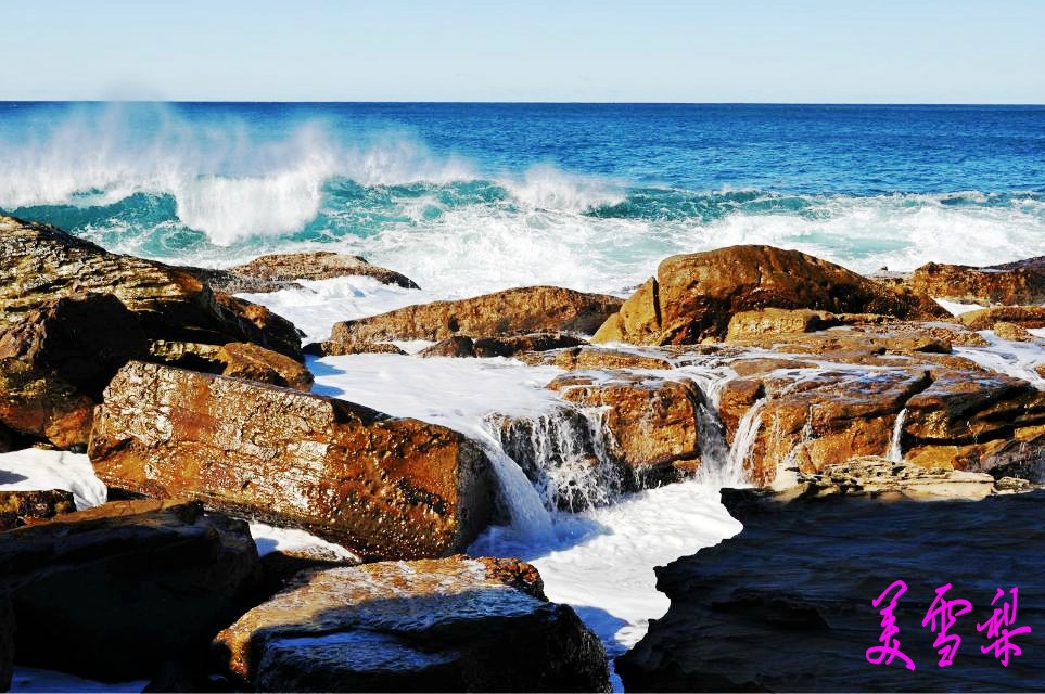 DSC_1981_conew1.jpg