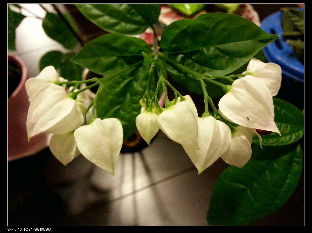 20140719_224937.jpg