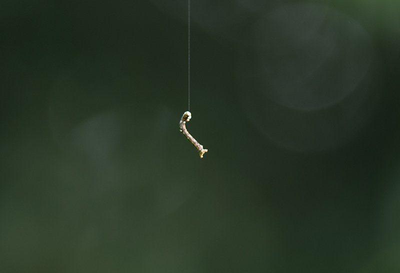 DSC_7988-.jpg