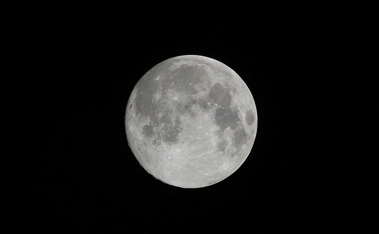 _MG_7333.JPG