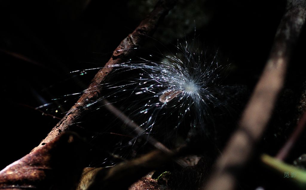 DSC_9483.jpg