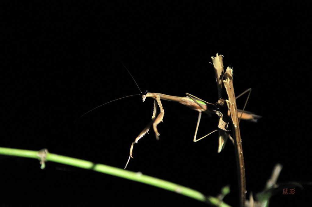 DSC_9866.jpg
