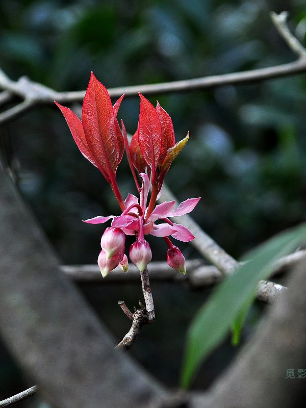 DSC_99213.JPG
