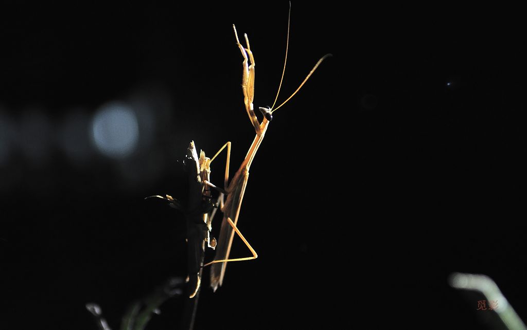 DSC_9843.jpg