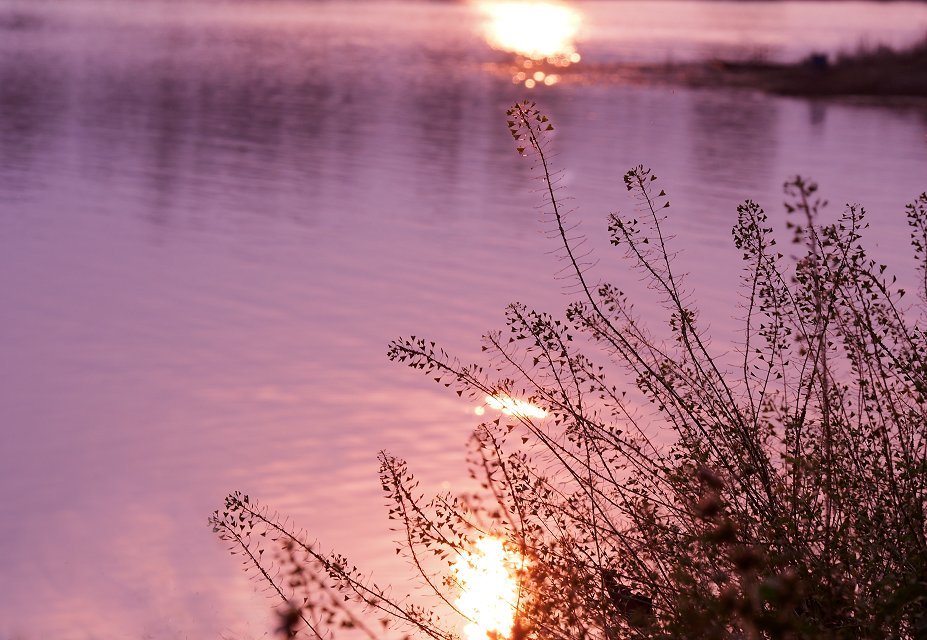2004.jpg