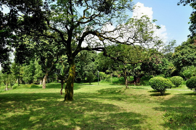 16.jpg