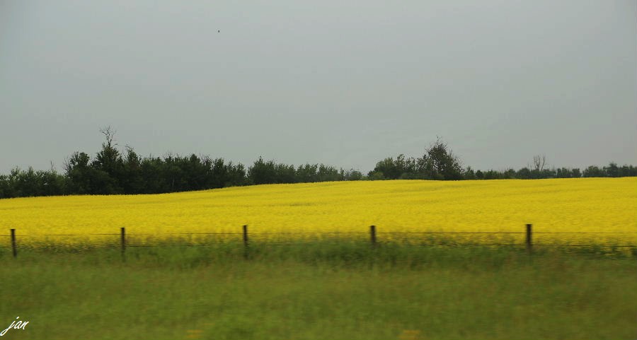 nEO_IMG_IMG_3613.jpg