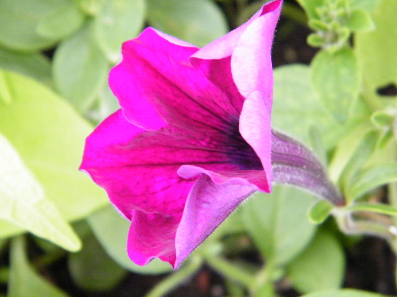 DSCF5620.JPG