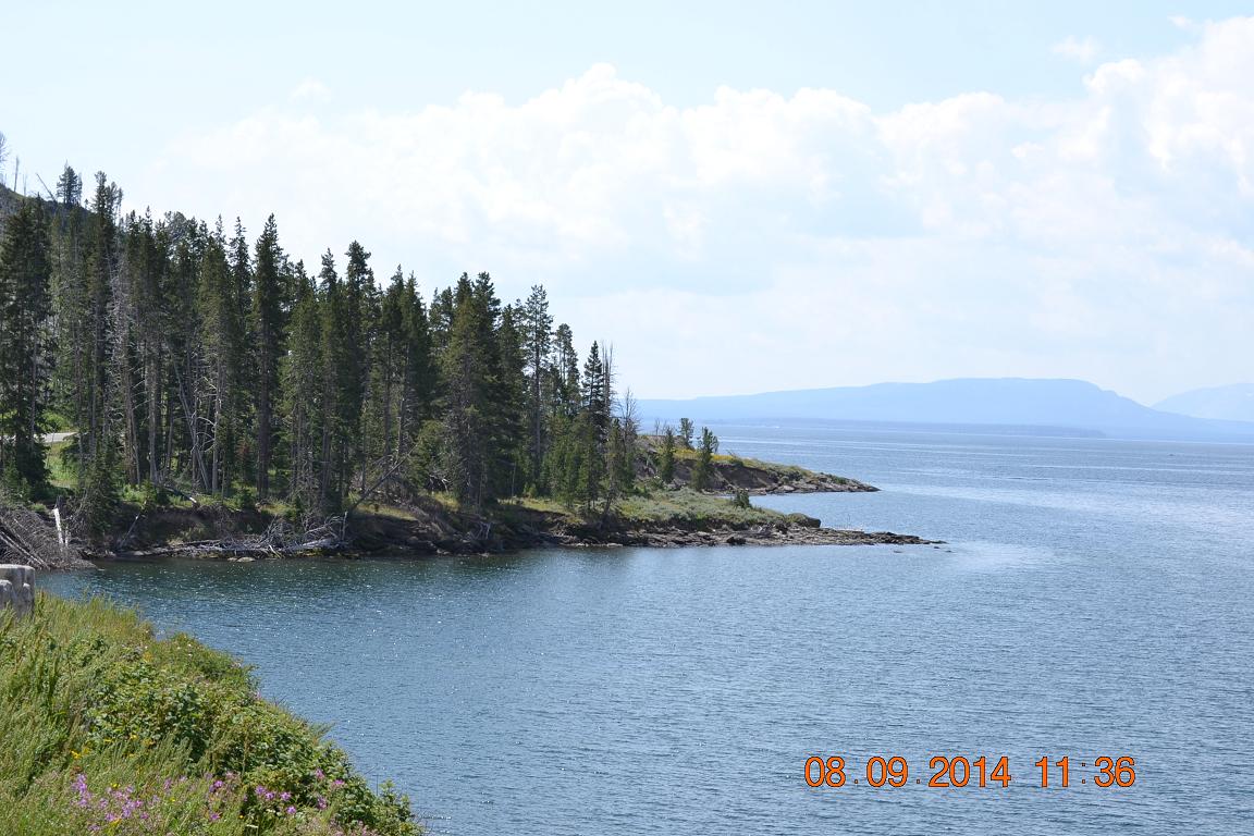 DSC_6054.jpg