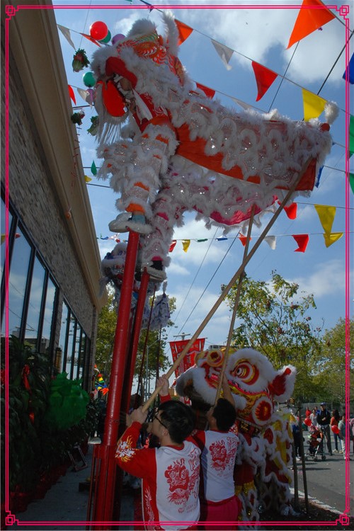 DSC_0351.jpg