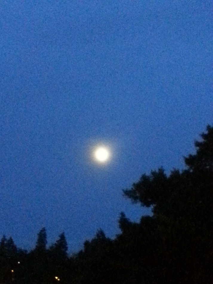 20140908_185809.jpg