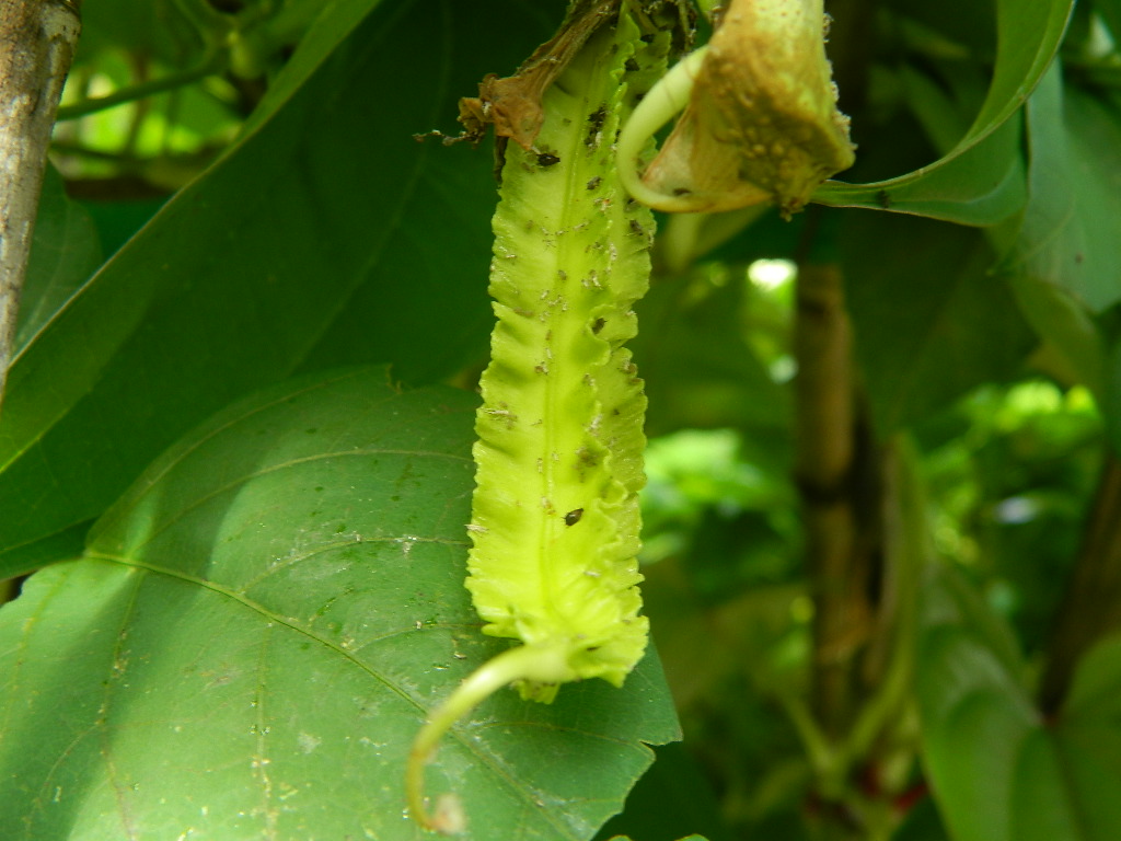 DSCN4507.JPG