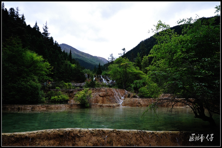 DSC_1780.jpg