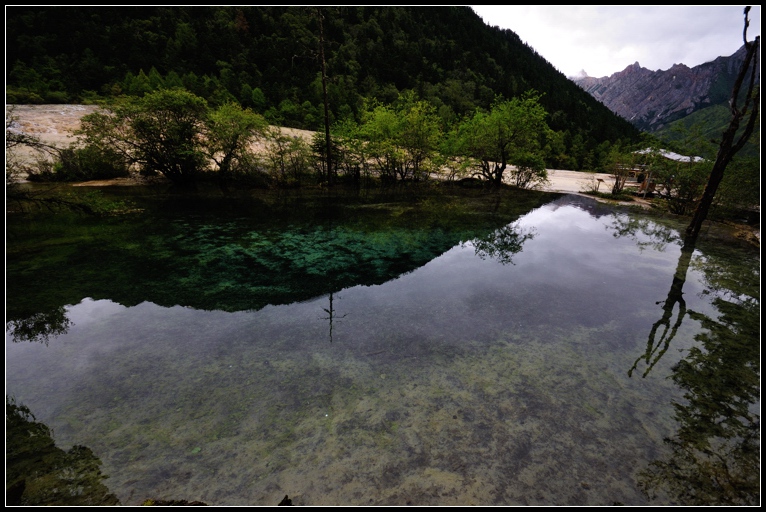 DSC_1767.jpg