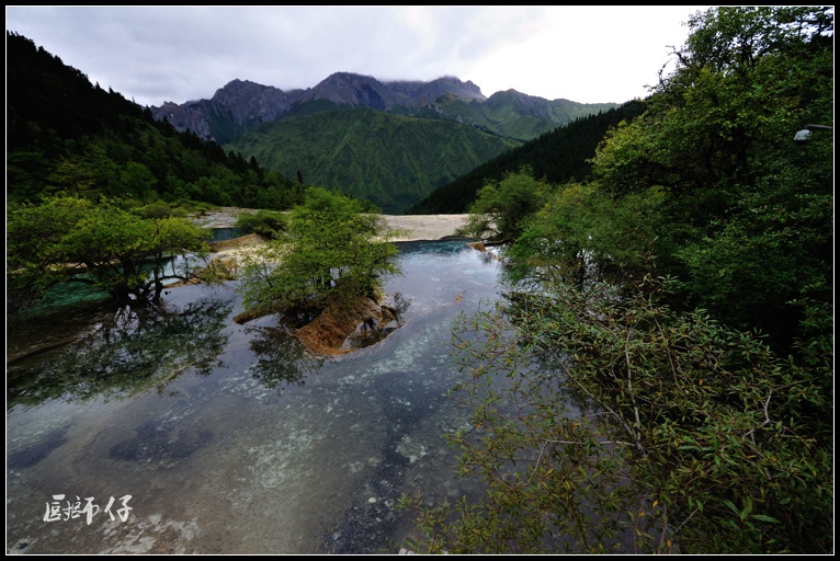 DSC_1770.jpg