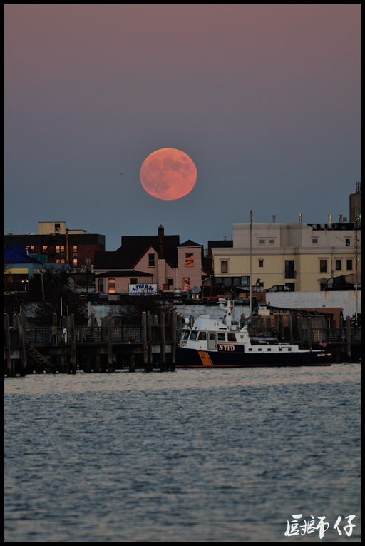 DSC_0044.jpg