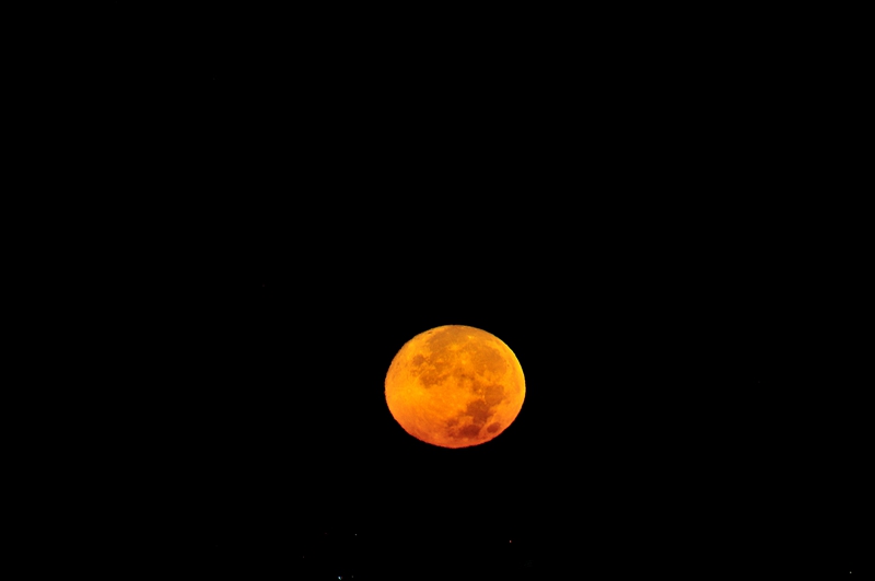 DSC_5340.jpg