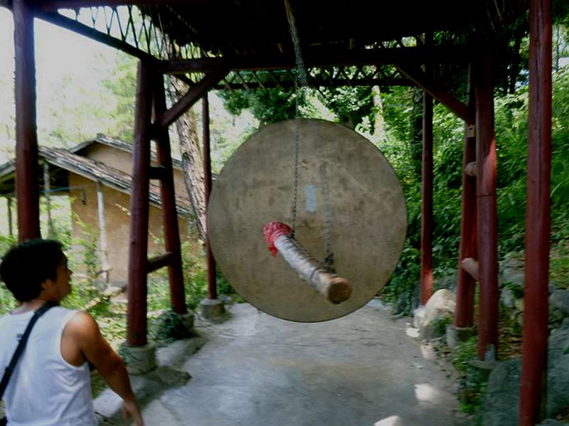 P1100217.jpg