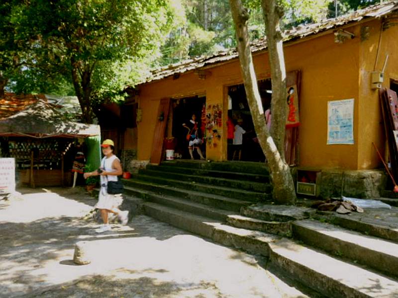 P1100153.jpg