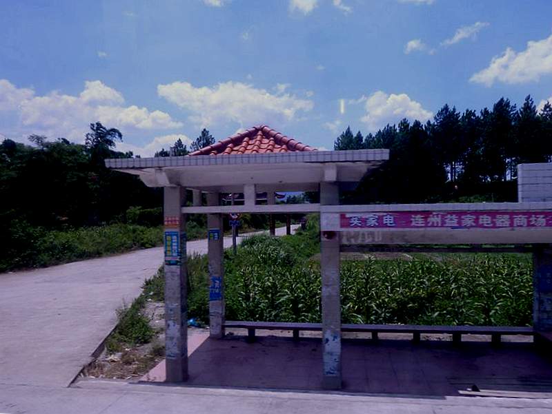 P1090986.jpg