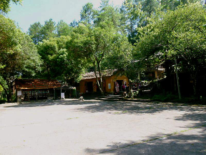 P1100151.jpg