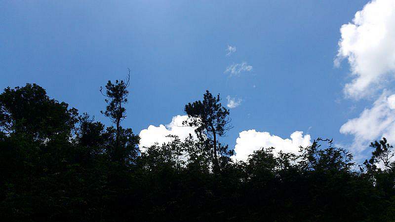 DSC_0722.jpg