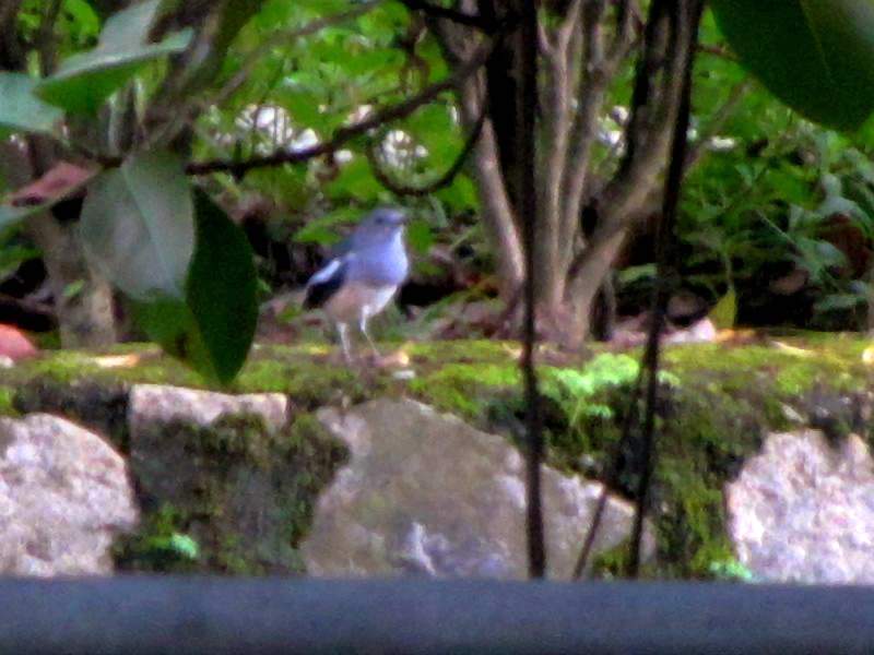 IMG_6655.jpg