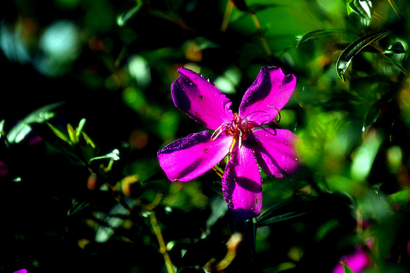 _MG_58282014--8-8-1_.jpg
