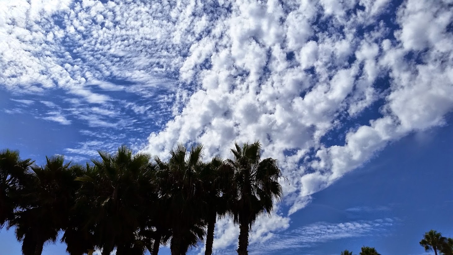 20140824_152015[2].jpg