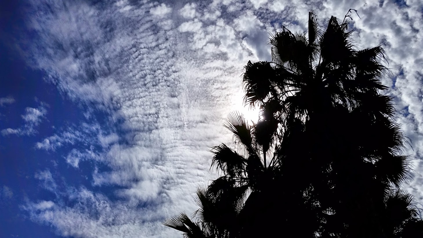20140824_151255[1].jpg